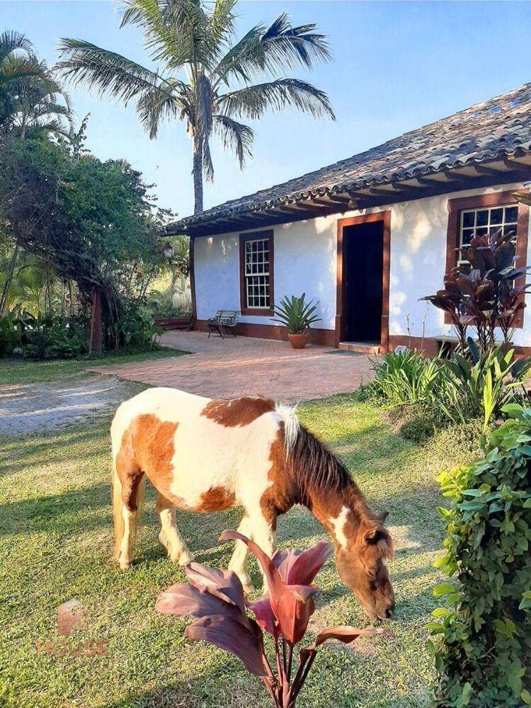 Fazenda-Sítio-Chácara, 41 hectares - Foto 7