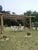 Sítio, 4 quartos, 3 hectares - Foto 4