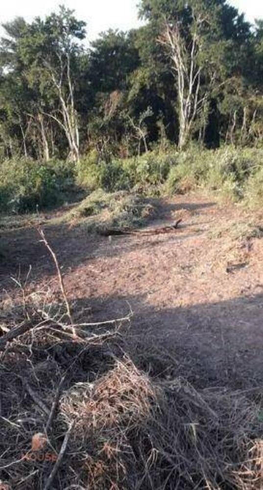 Loteamento e Condomínio, 1036 m² - Foto 5