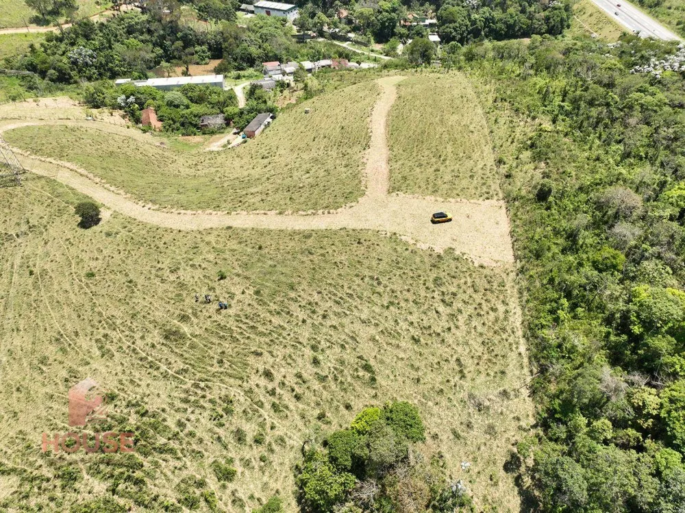 Terreno, 4 hectares - Foto 3