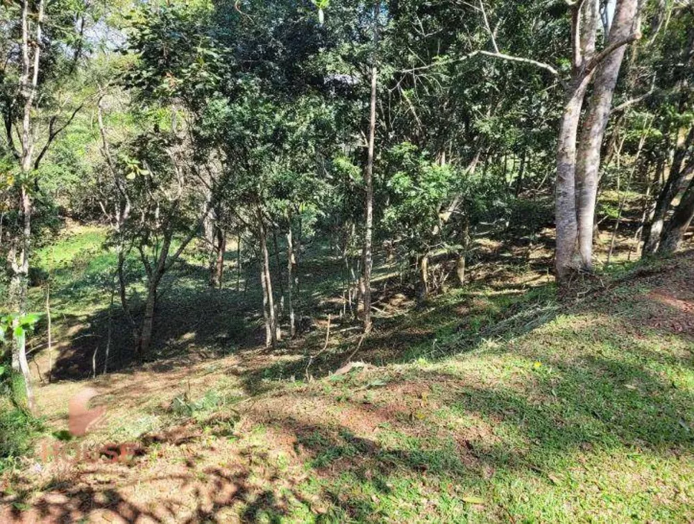 Loteamento e Condomínio à venda, 1562M2 - Foto 4