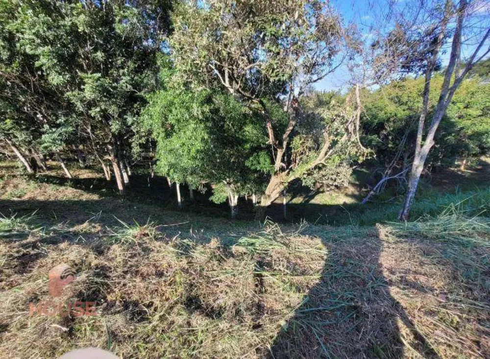 Loteamento e Condomínio, 1562 m² - Foto 7