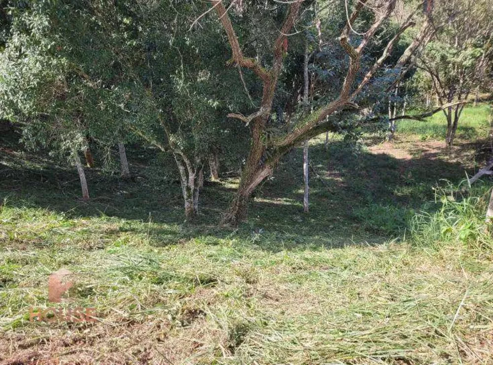 Loteamento e Condomínio à venda, 1562M2 - Foto 3