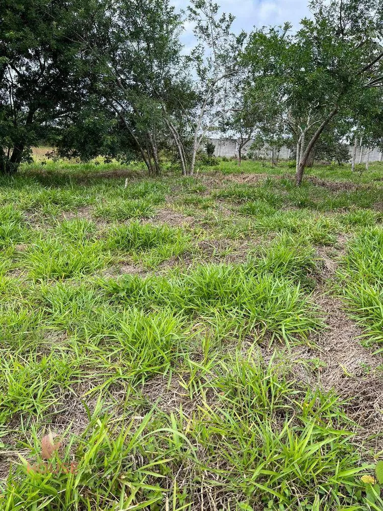 Loteamento e Condomínio à venda, 1172M2 - Foto 1