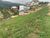 Loteamento e Condomínio, 450 m² - Foto 5
