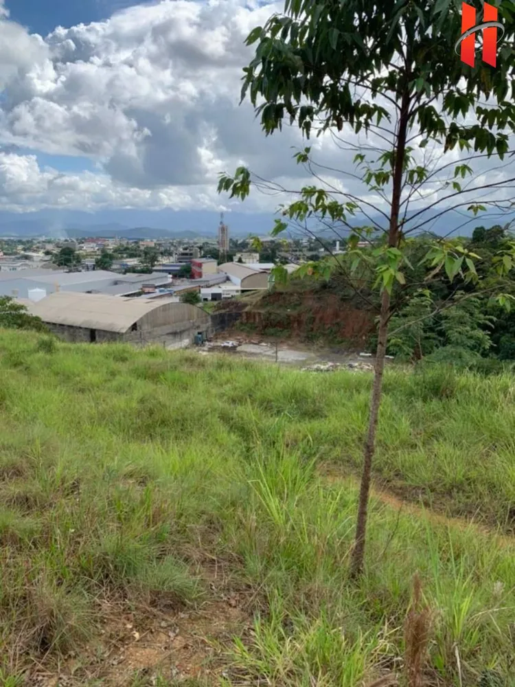 Terreno, 393 m² - Foto 4