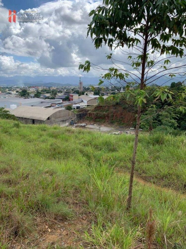 Terreno, 381 m² - Foto 2