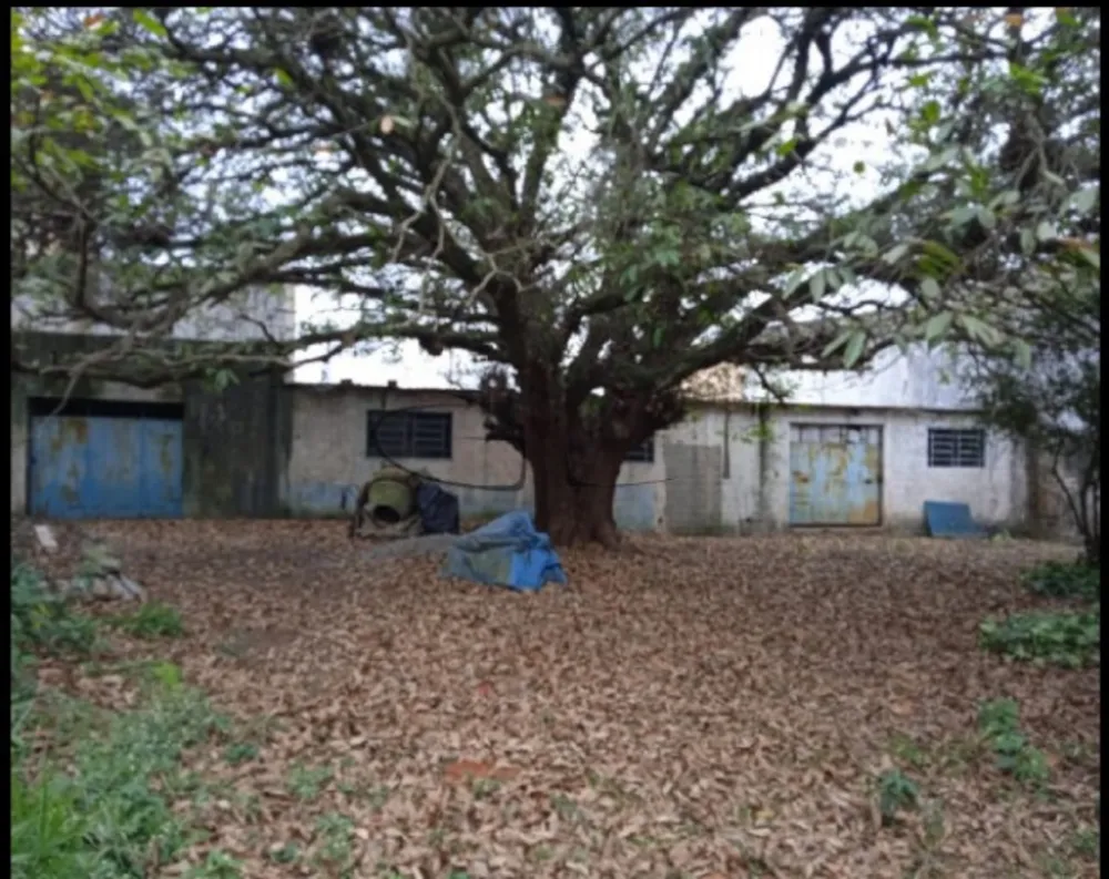 Terreno, 1824 m² - Foto 1