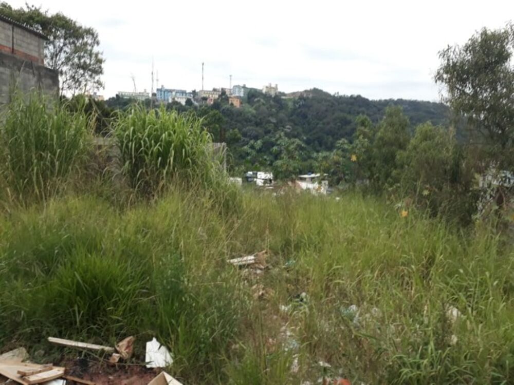 Terreno, 250 m² - Foto 8
