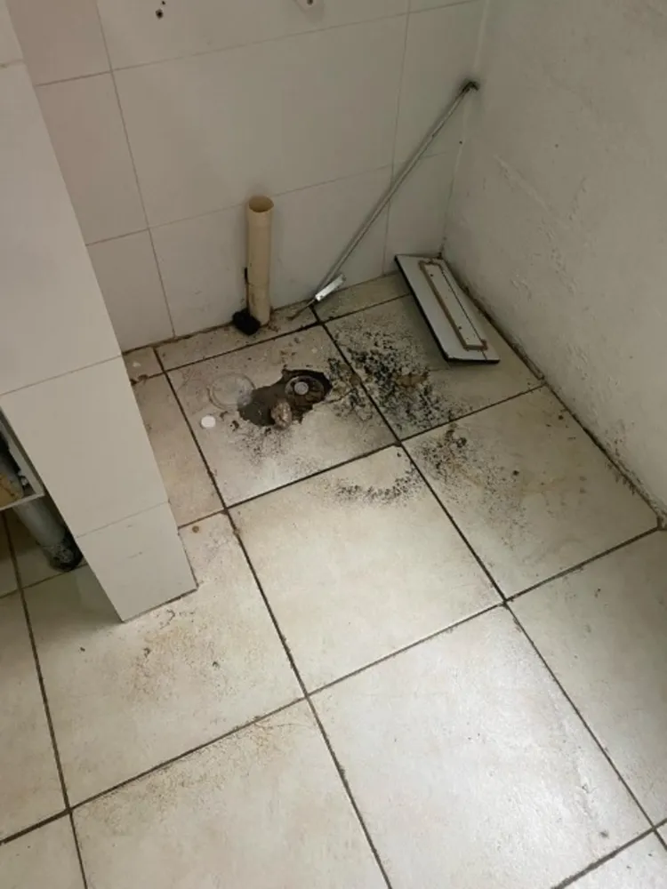 Apartamento, 2 quartos, 46 m² - Foto 5