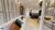 Apartamento, 3 quartos, 84 m² - Foto 3