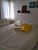 Apartamento, 3 quartos, 72 m² - Foto 7
