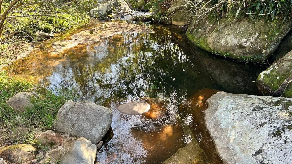Terreno, 5 hectares - Foto 1
