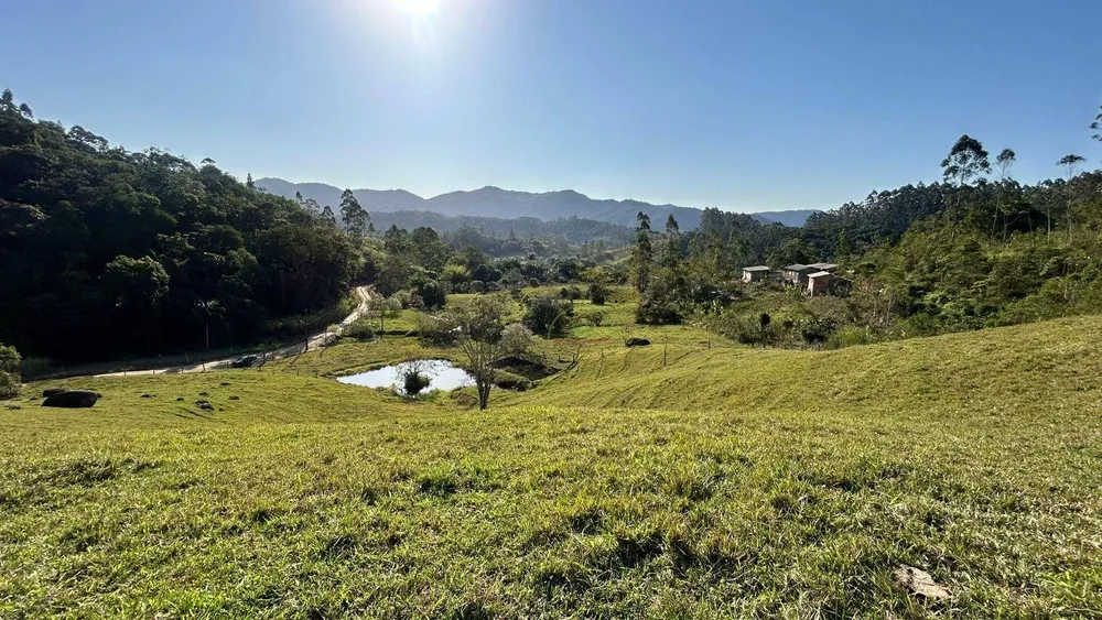 Terreno, 5 hectares - Foto 4