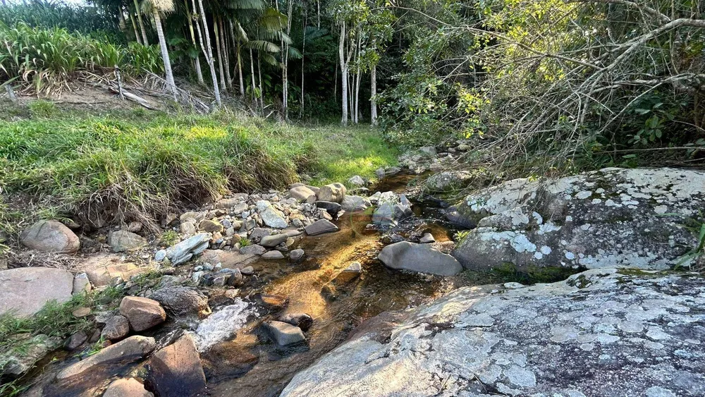 Terreno, 5 hectares - Foto 2