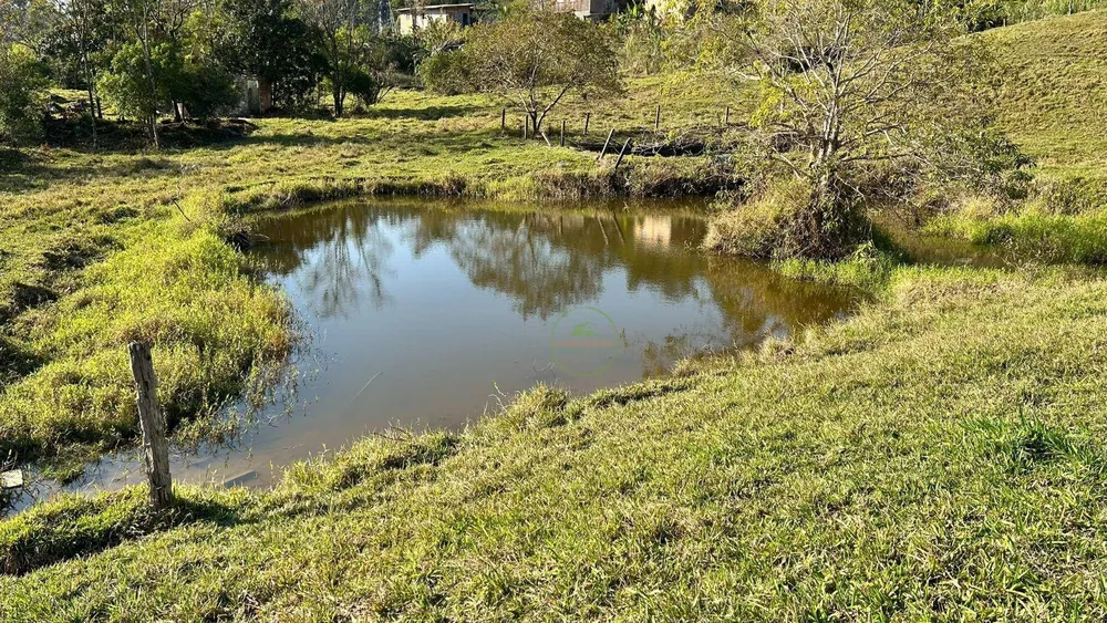 Terreno, 5 hectares - Foto 4