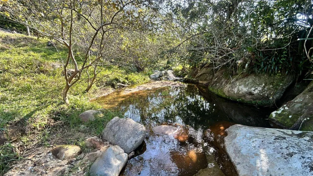 Terreno, 5 hectares - Foto 7