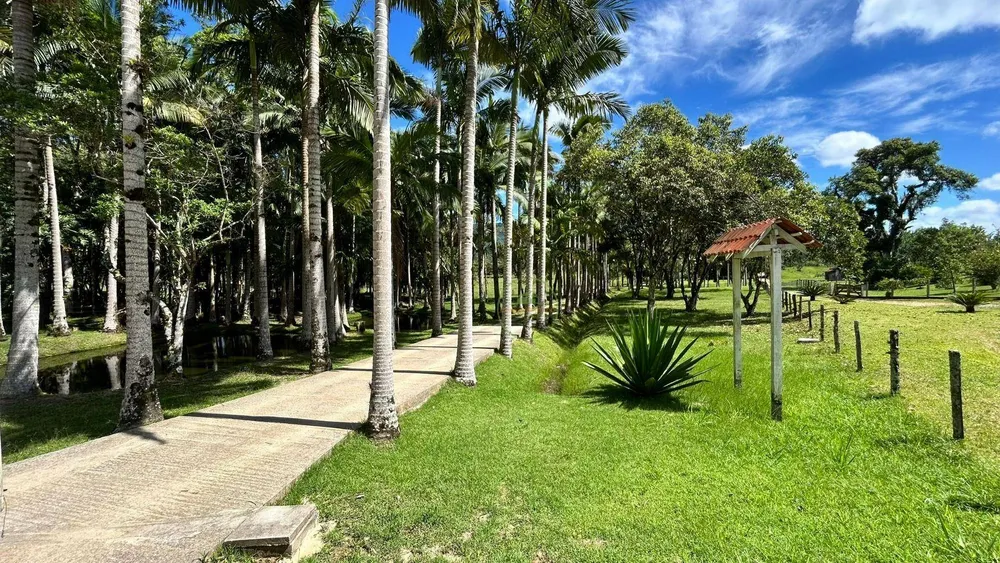 Chácara, 2 hectares - Foto 3