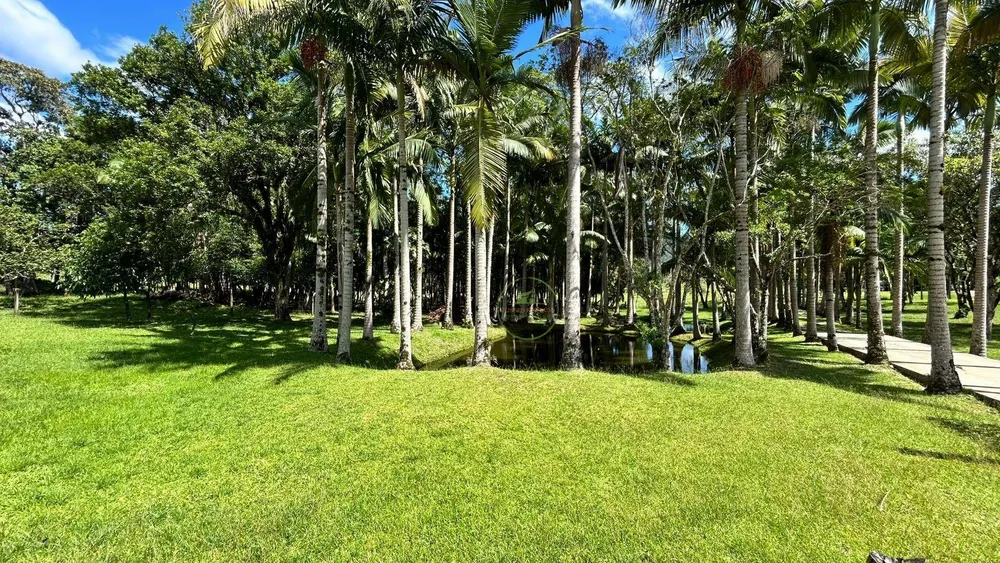 Chácara, 2 hectares - Foto 4