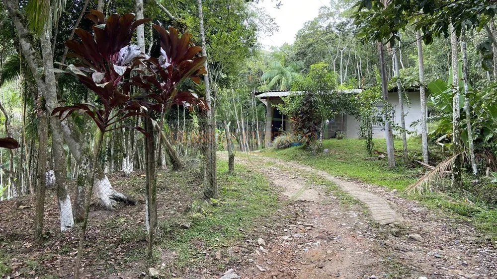 Chácara, 1 hectares - Foto 6