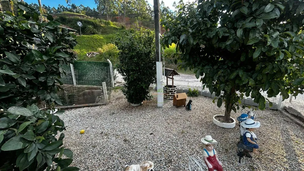 Chácara, 3 quartos, 980 m² - Foto 4