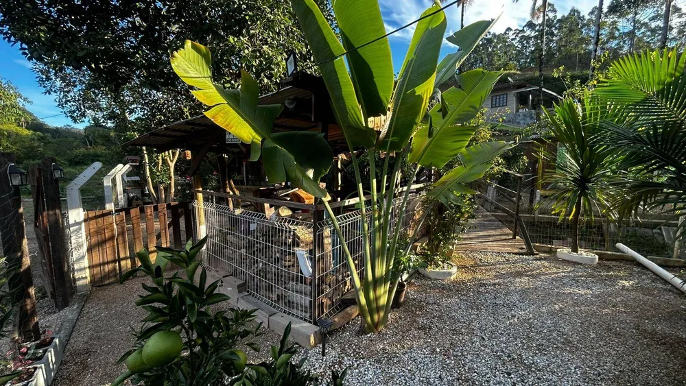 Chácara, 3 quartos, 980 m² - Foto 2