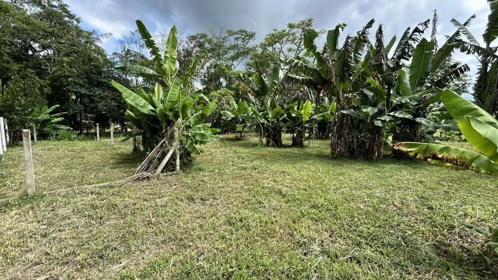 Terreno, 2600 m² - Foto 2