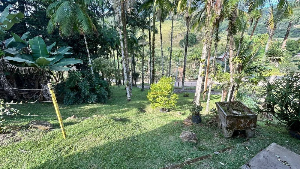 Sítio, 3 hectares - Foto 7