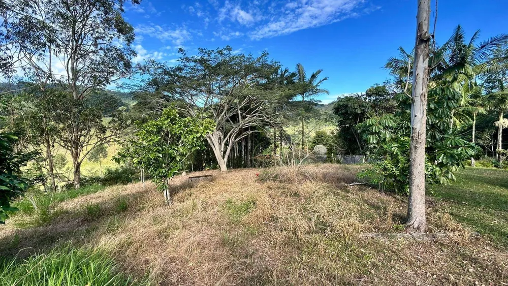 Sítio, 3 hectares - Foto 6