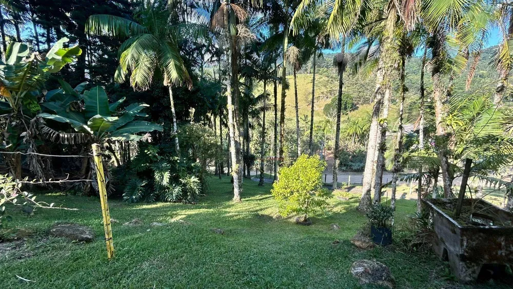 Sítio, 3 hectares - Foto 1
