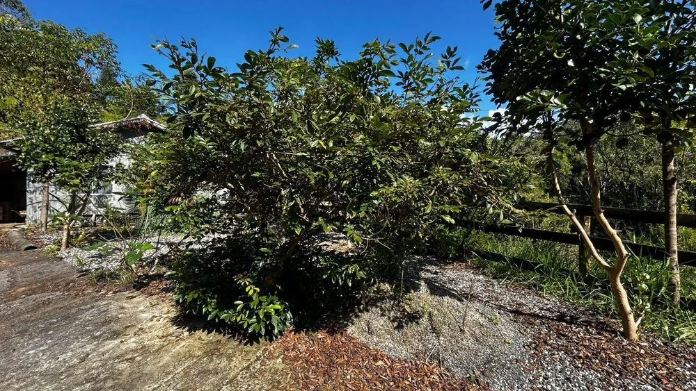 Sítio, 2 quartos, 2 hectares - Foto 1