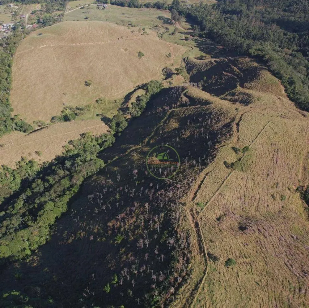 Fazenda, 260 hectares - Foto 1