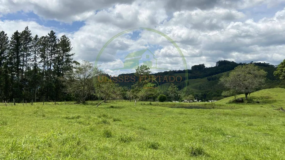 Fazenda, 260 hectares - Foto 4