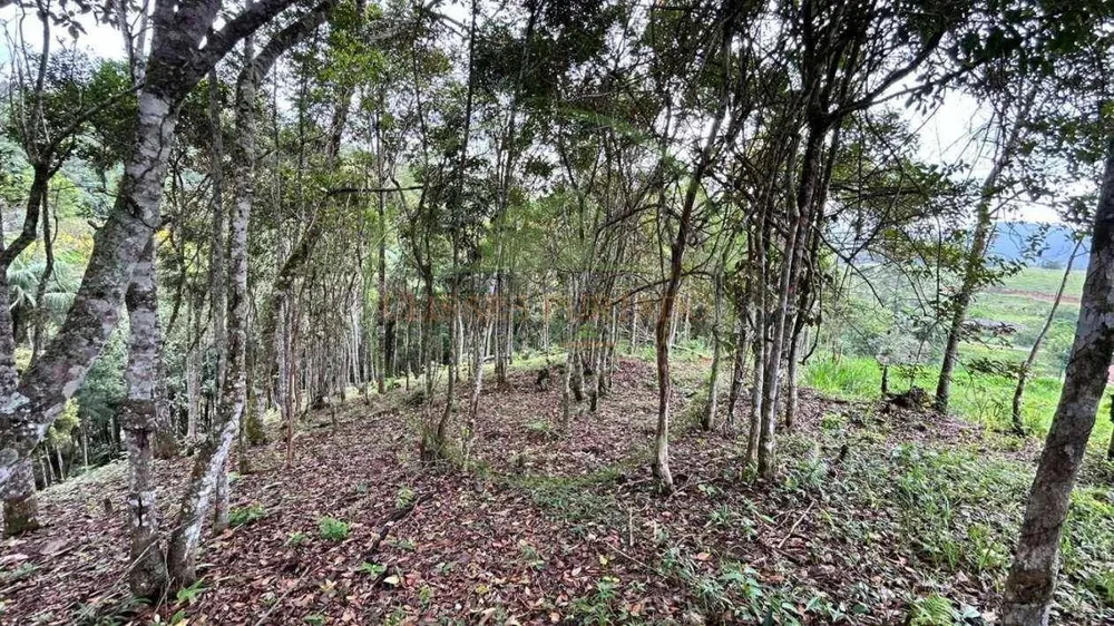 Terreno, 10000 m² - Foto 4
