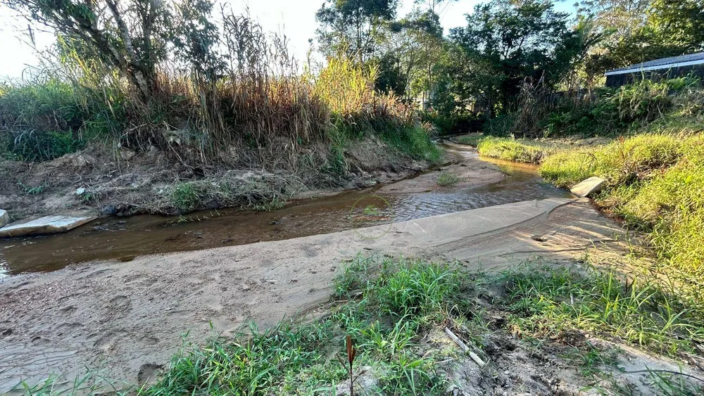 Terreno, 10000 m² - Foto 3