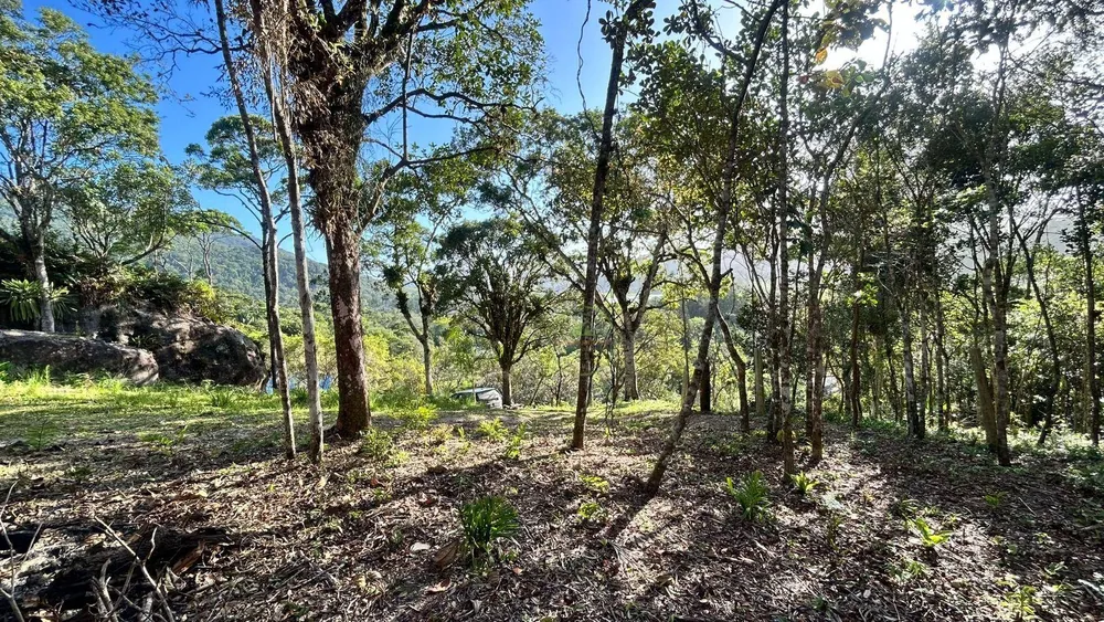 Terreno, 7700 m² - Foto 1
