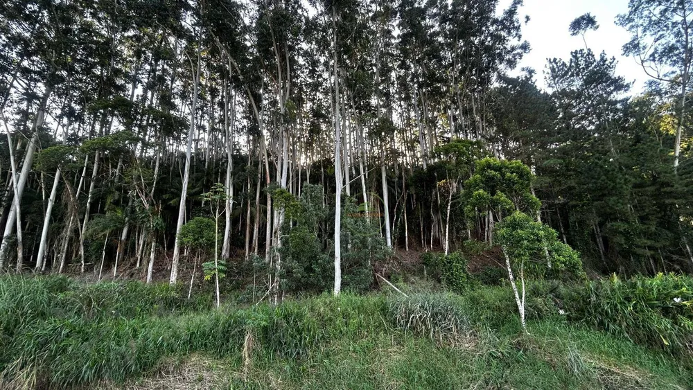 Terreno, 7 hectares - Foto 2
