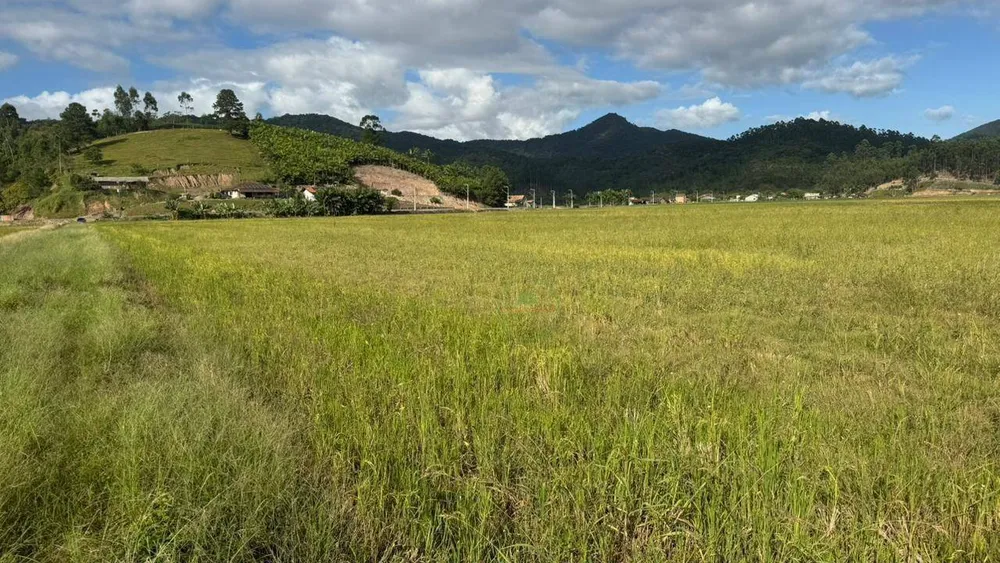 Terreno, 7 hectares - Foto 5