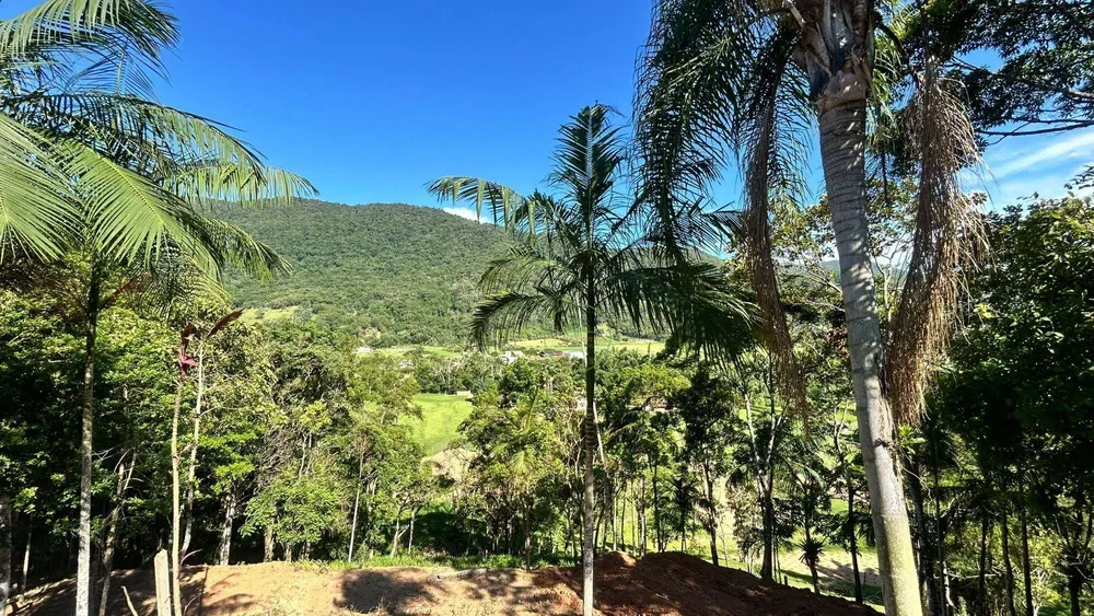 Chácara, 2 quartos, 6000 m² - Foto 2