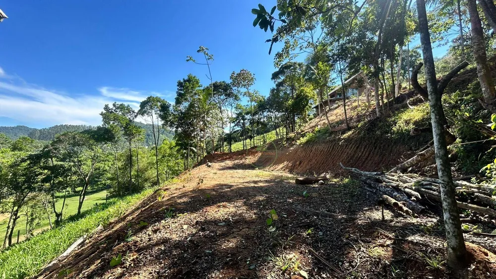 Chácara, 2 quartos, 6000 m² - Foto 1