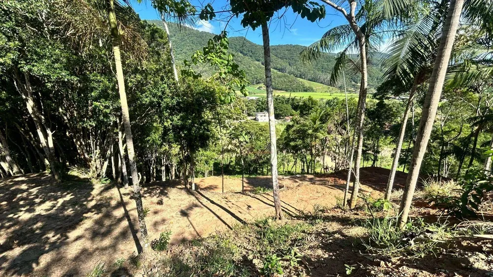 Chácara, 2 quartos, 6000 m² - Foto 8