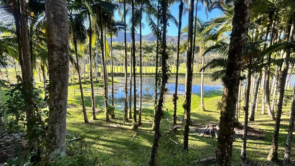 Sítio, 19 hectares - Foto 4