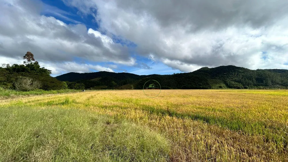 Terreno, 7 hectares - Foto 1