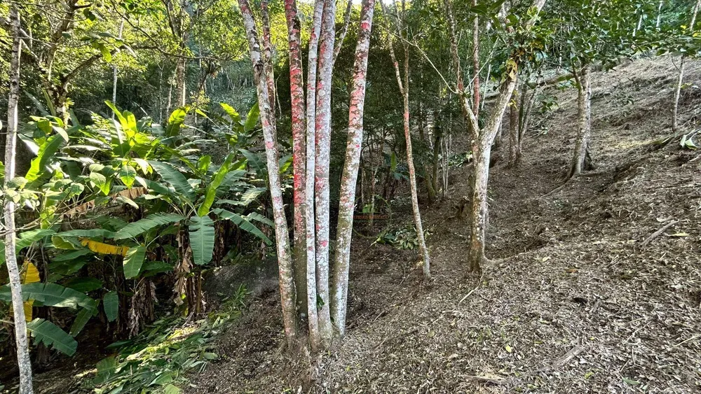 Terreno, 10000 m² - Foto 1