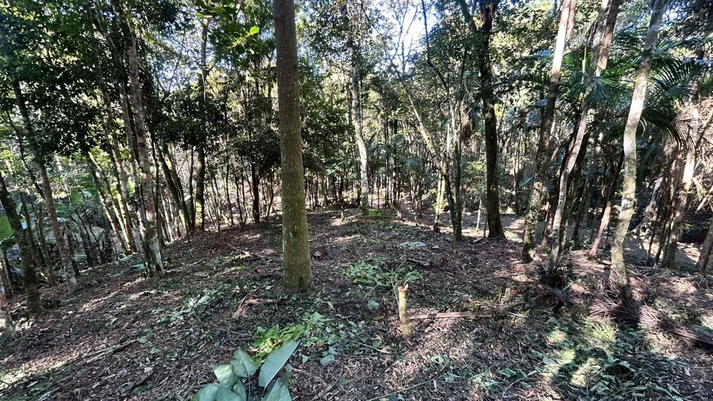 Terreno, 10000 m² - Foto 3