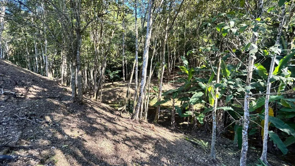 Terreno, 10000 m² - Foto 4