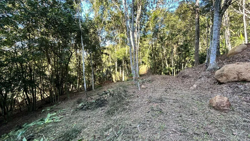 Terreno, 10000 m² - Foto 2