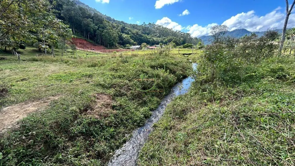 Terreno, 4 hectares - Foto 3