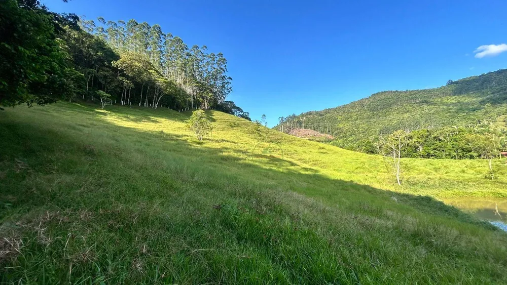 Terreno, 2 hectares - Foto 4