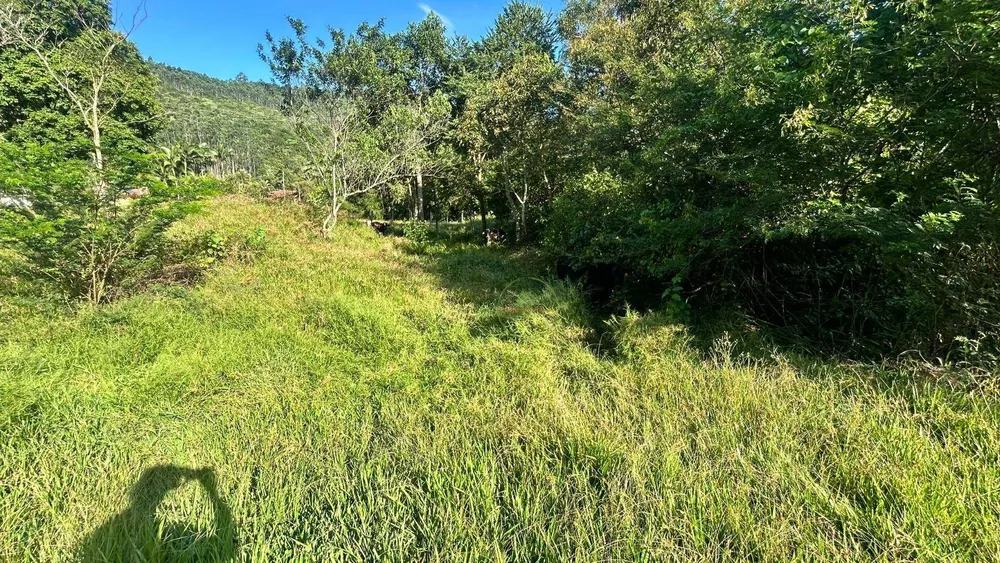 Terreno, 2 hectares - Foto 3